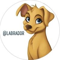 NGL profile picture for @labrador
