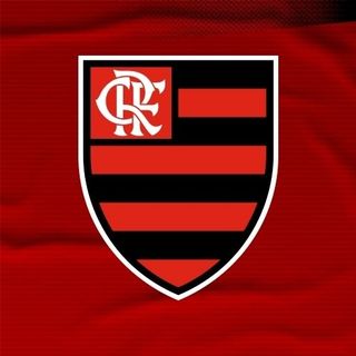 NGL profile picture for @flamengo