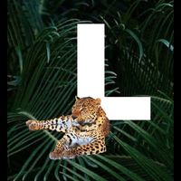 NGL profile picture for @leopard