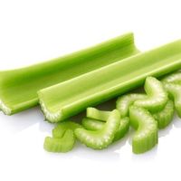 NGL profile picture for @celery
