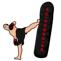 NGL profile picture for @kickboxing