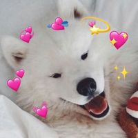 NGL profile picture for @wholesome