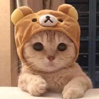 NGL profile picture for @button
