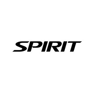 NGL profile picture for @spirit