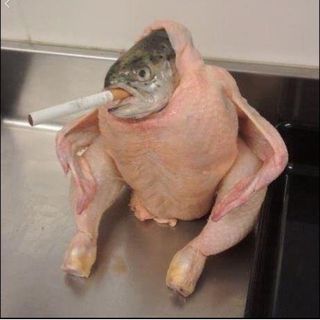 NGL profile picture for @chickenshit