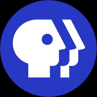 NGL profile picture for @pbs