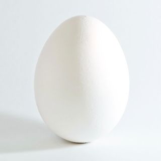 NGL profile picture for @egg