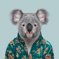 NGL profile picture for @queensland