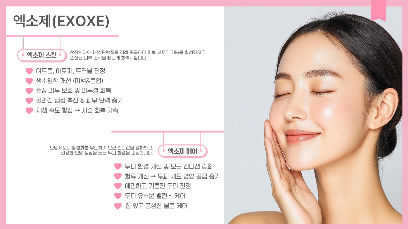 엑소제 제품 상세정보 4