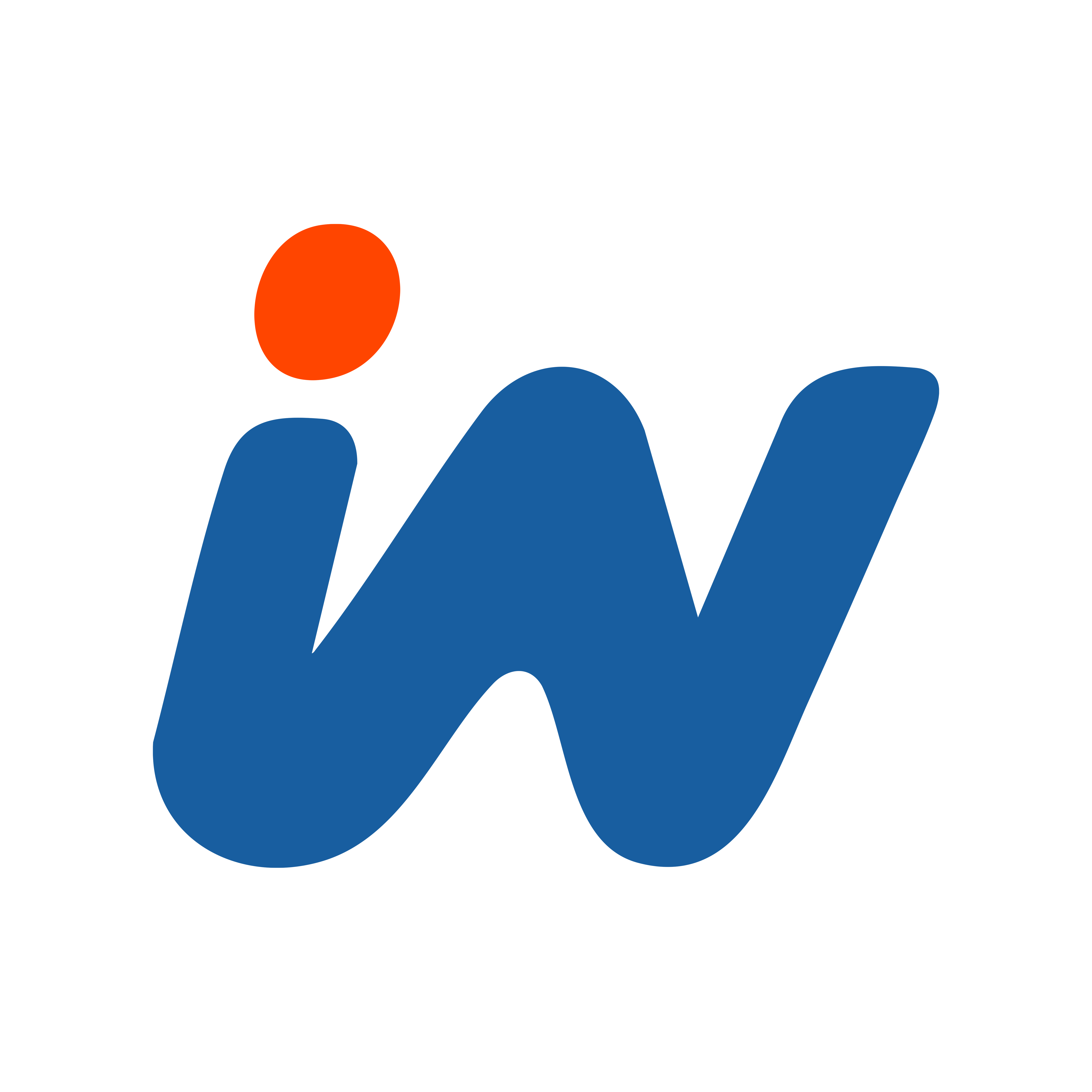 Introwa Logo