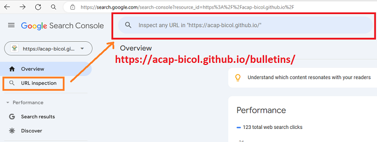 seo-url-inspection