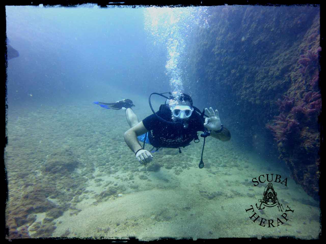Scuba Therapy Diving school Dive Club gallery photo 4 serving Keserwan District, Lebanon
