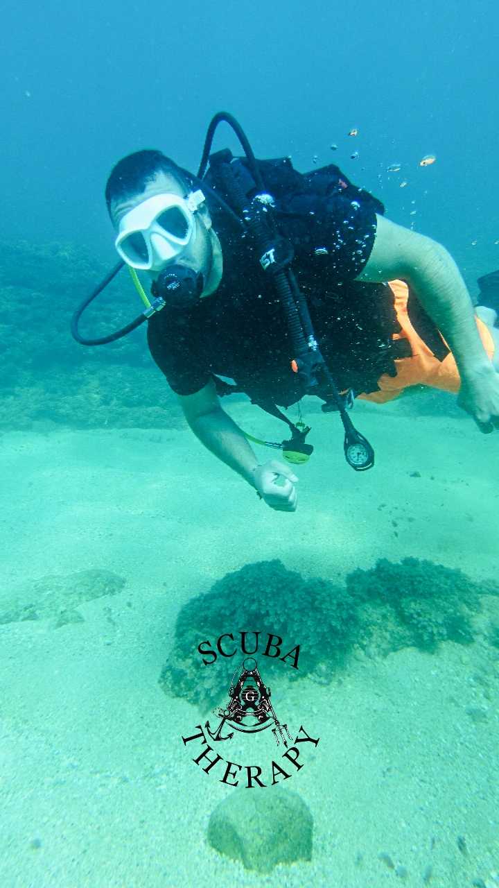 Scuba Therapy Diving school Dive Club gallery photo 7 serving Keserwan District, Lebanon