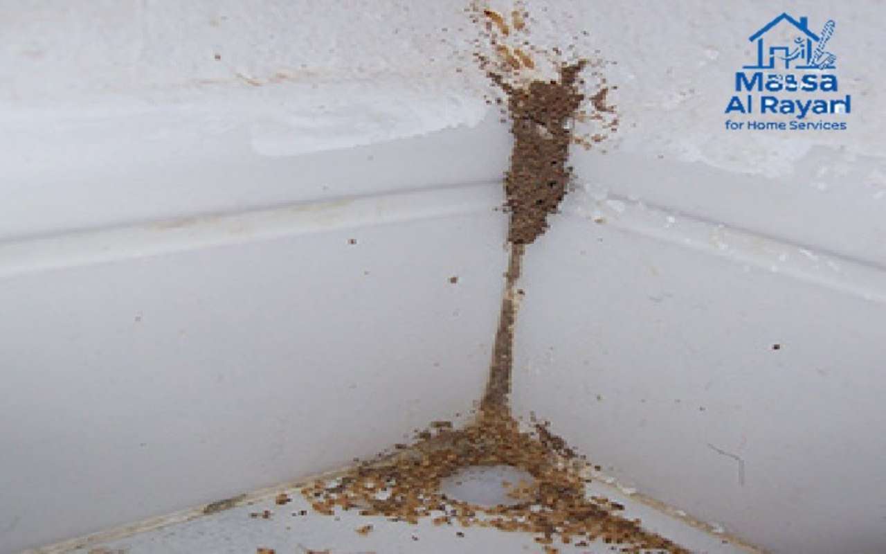 شركة ماسة الرياض للخدمات المنزلية Pest Control Service gallery photo 1 serving Saudi Arabia