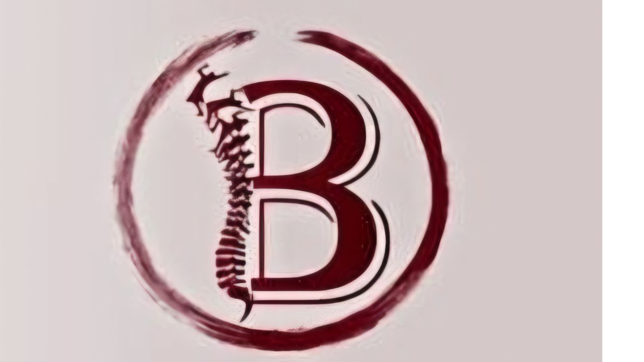 OB physio clinic Physical Therapy Clinic featured image serving Beirut District, Lebanon