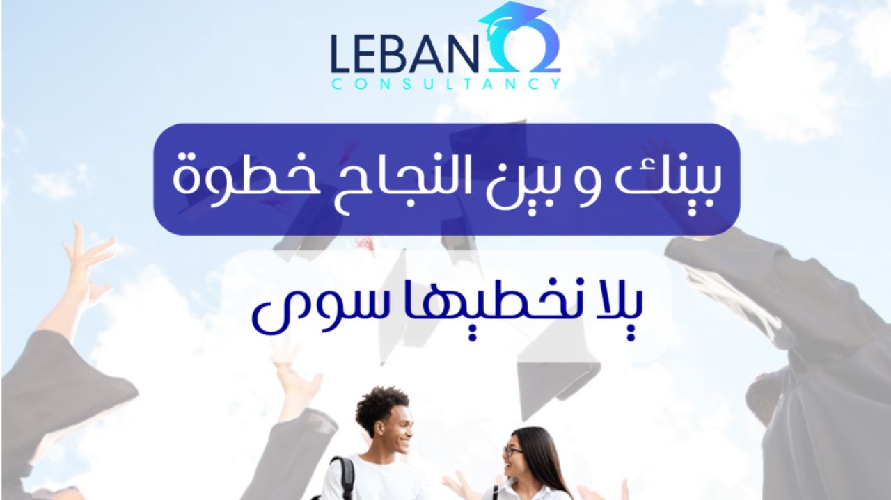 Lebanohm Consultancy Consultant featured image serving Sidon District, Lebanon