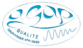 Logo de AGAP : Association de Géophysique Appliquée