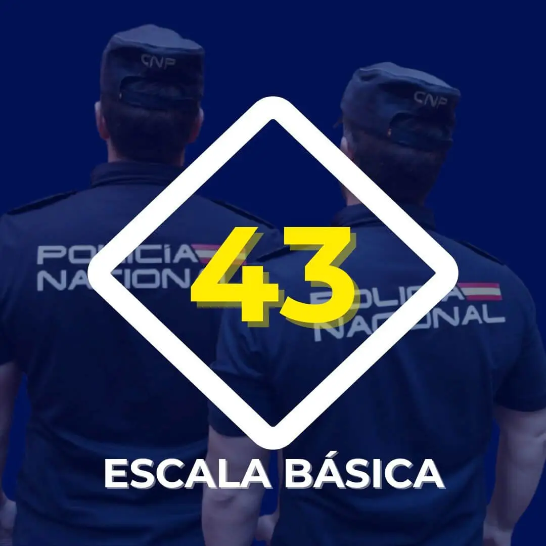 Escala Básica 43