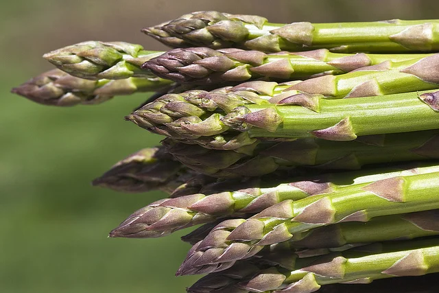 Asparagi