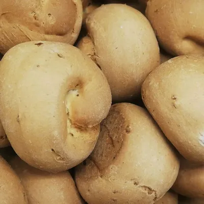 Biscotti di San Martino: Un dolce immancabile nella tradizione siciliana