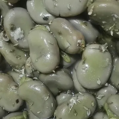 Favi liezzi di Buccheri: semplicità e gusto della tradizione contadina