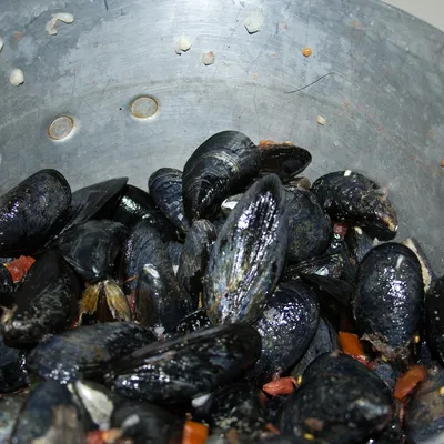 Zuppa di cozze siciliana, un tuffo nei sapori del mare