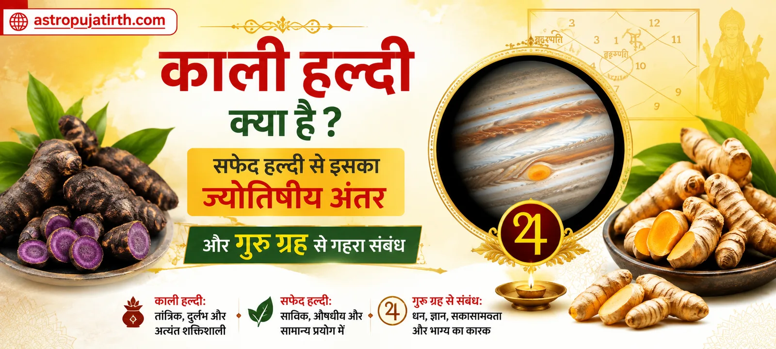 काली हल्दी क्या है? सफेद हल्दी से इसका ज्योतिषीय अंतर और गुरु ग्रह से गहरा संबंध