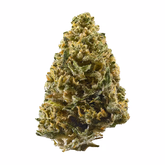 Animal Cookies