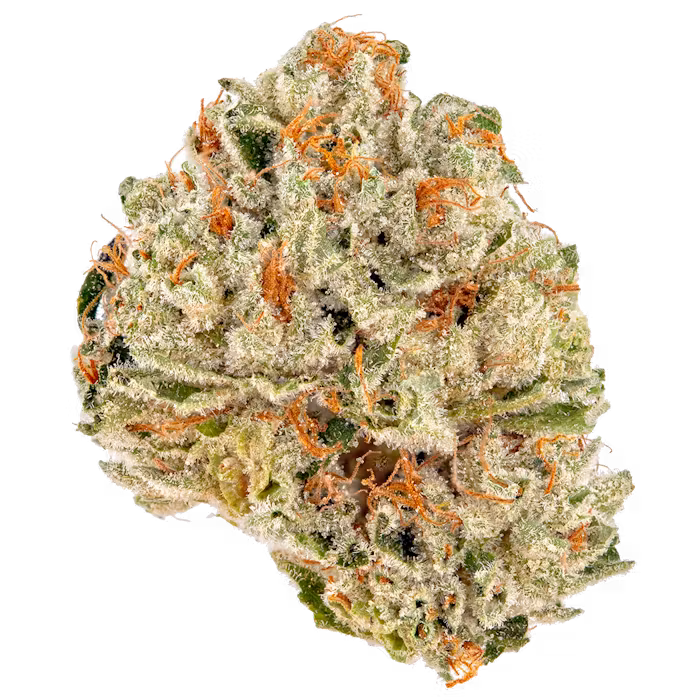 Gruntz