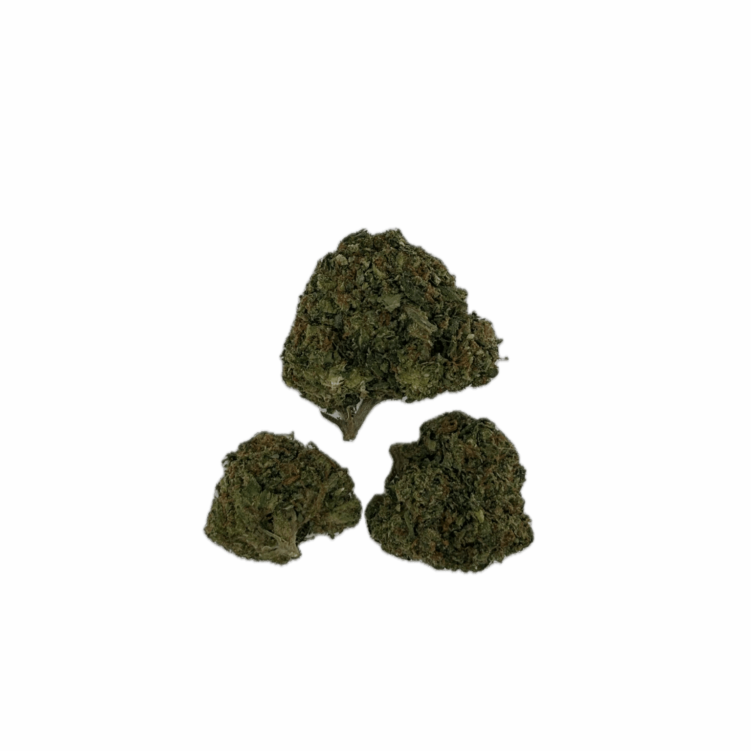 Gushlato