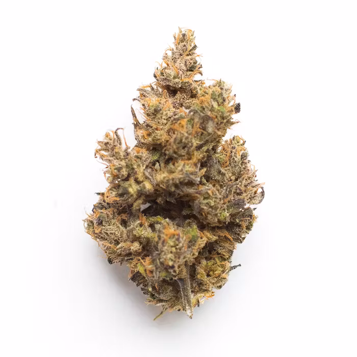 Key Lime Pie