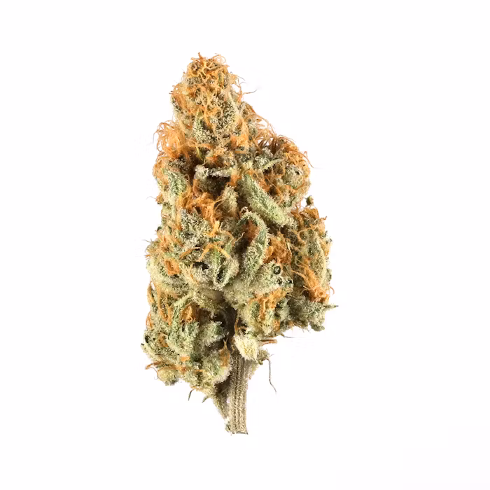 Orange Creamsicle