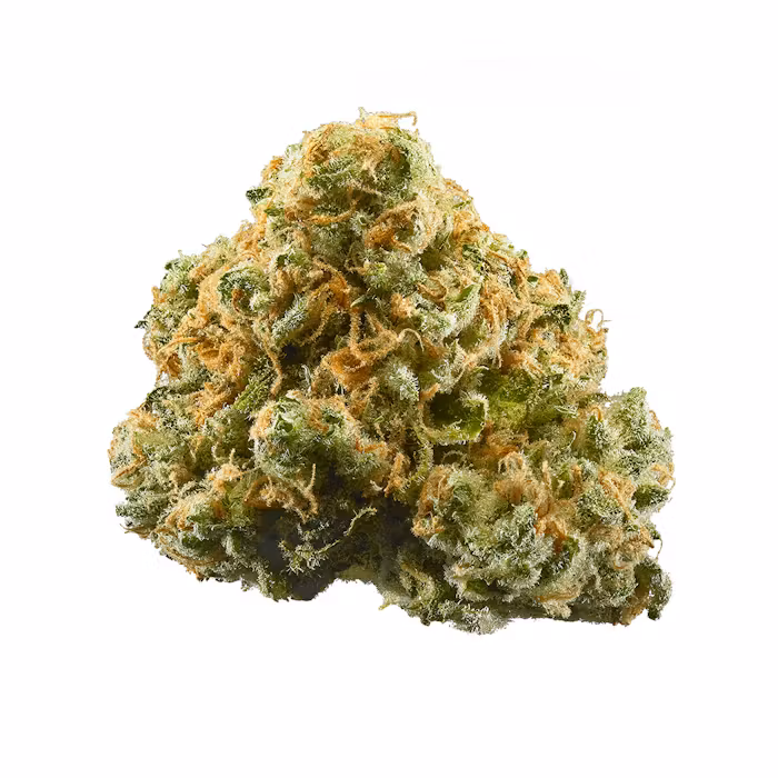 White Cherry Gelato