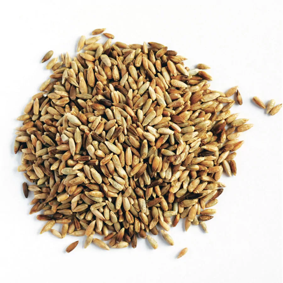 Rye Grain