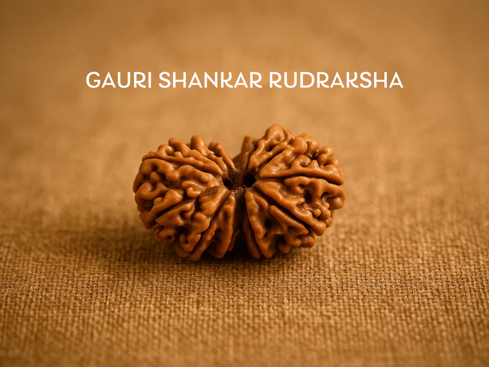 Gauri Shankar Rudraksha