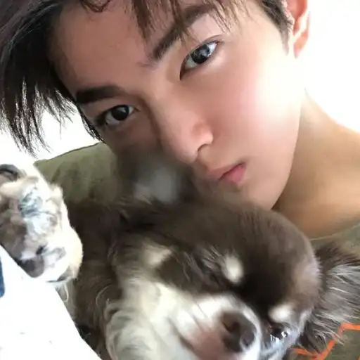 Ảnh đại diện an kien huy