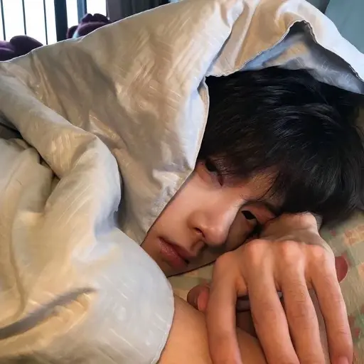 Ảnh đại diện Bo