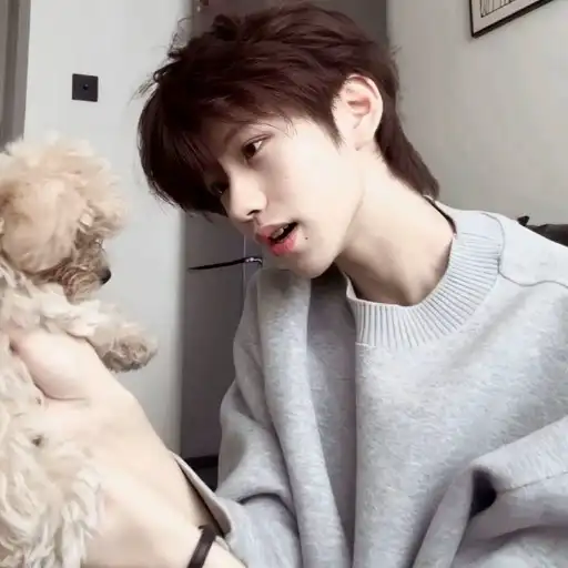 Ảnh đại diện Cố Trạch Dương