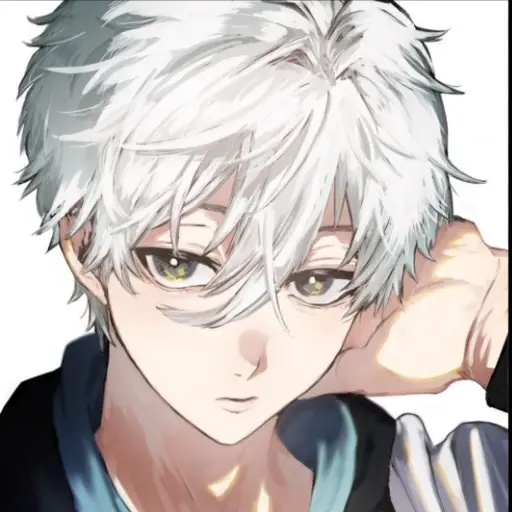 Ảnh đại diện Nagi Seishirou