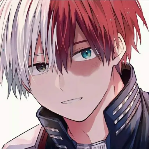 Ảnh đại diện Todoroki Shoto