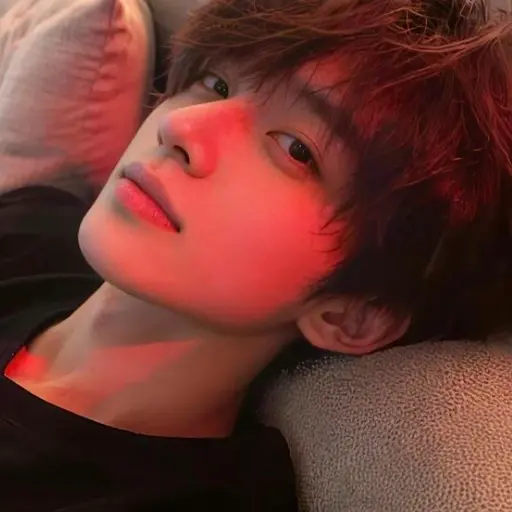 Ảnh đại diện Trần Liên Vũ