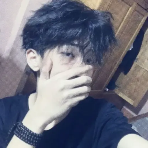Ảnh đại diện Trình Vũ