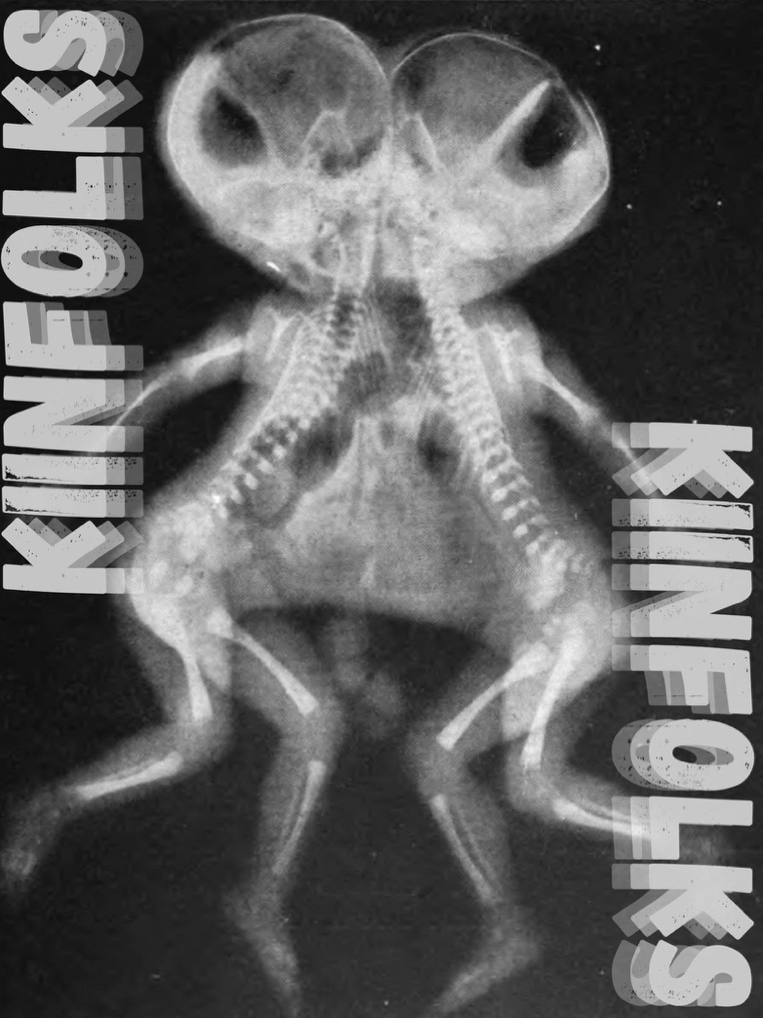 Kiinfolks logo
