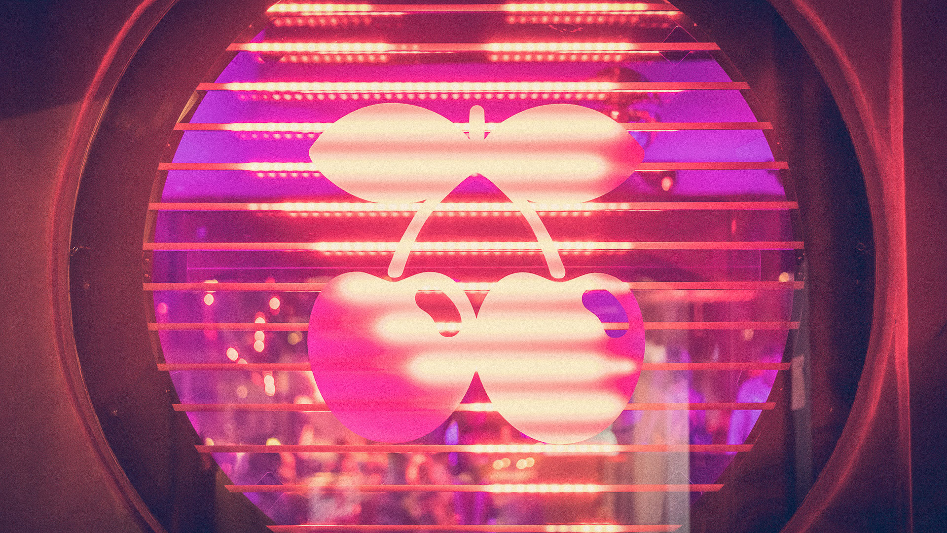 Pacha Grand Closing Weekend: Flower Power