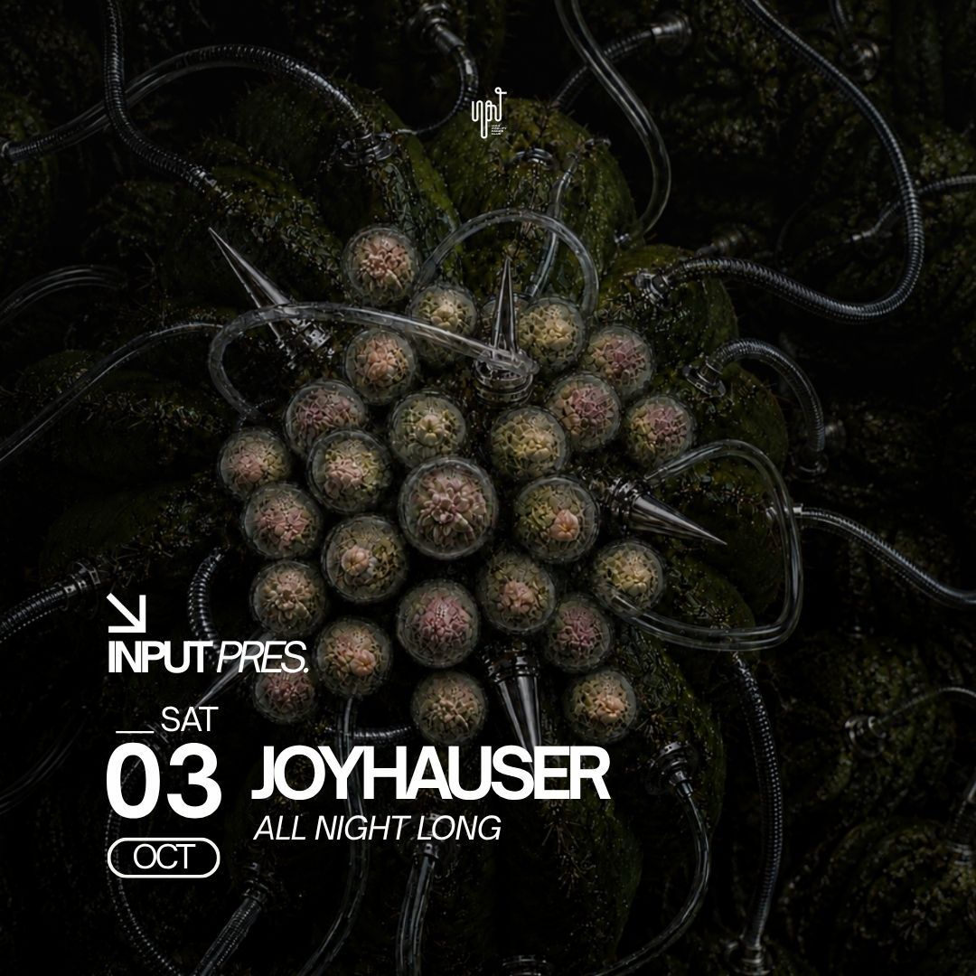 Joyhauser firma un all night long en INPUT