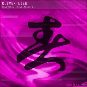 <em>Recovered Frequencies</em> runs alongside the album remasters, concentrating on rare and long-unavailable versions from Lieb’s archive.