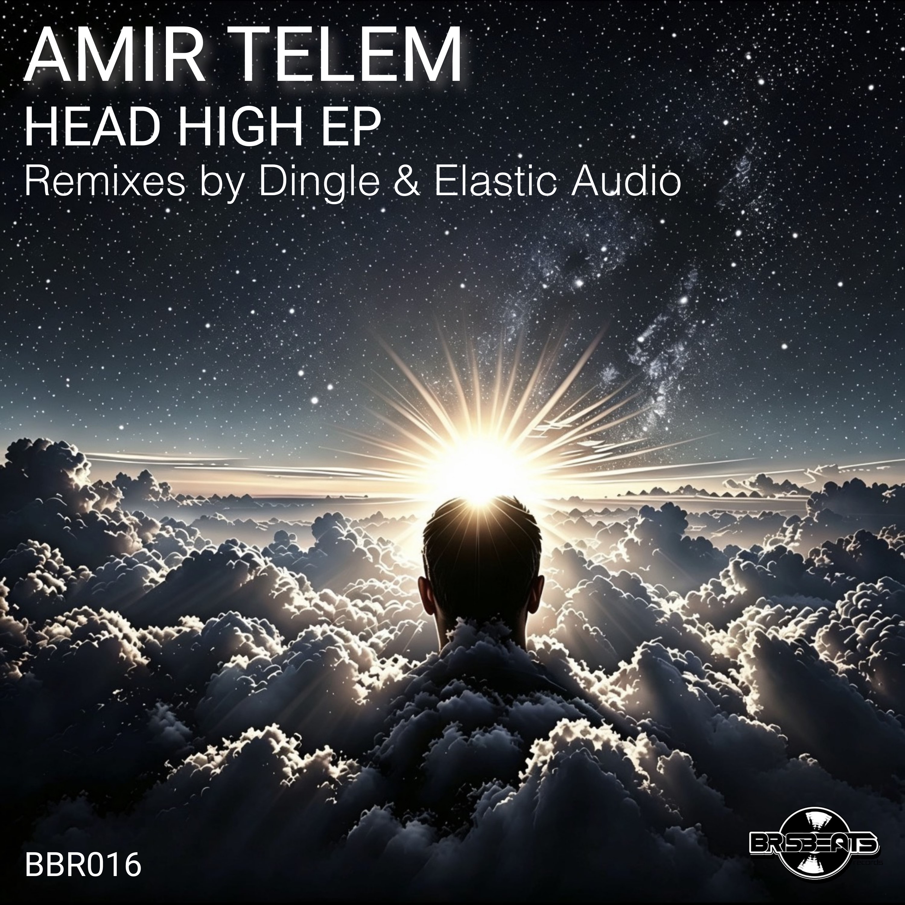 Amir Telem — Community (Elastic Audio remix) artwork