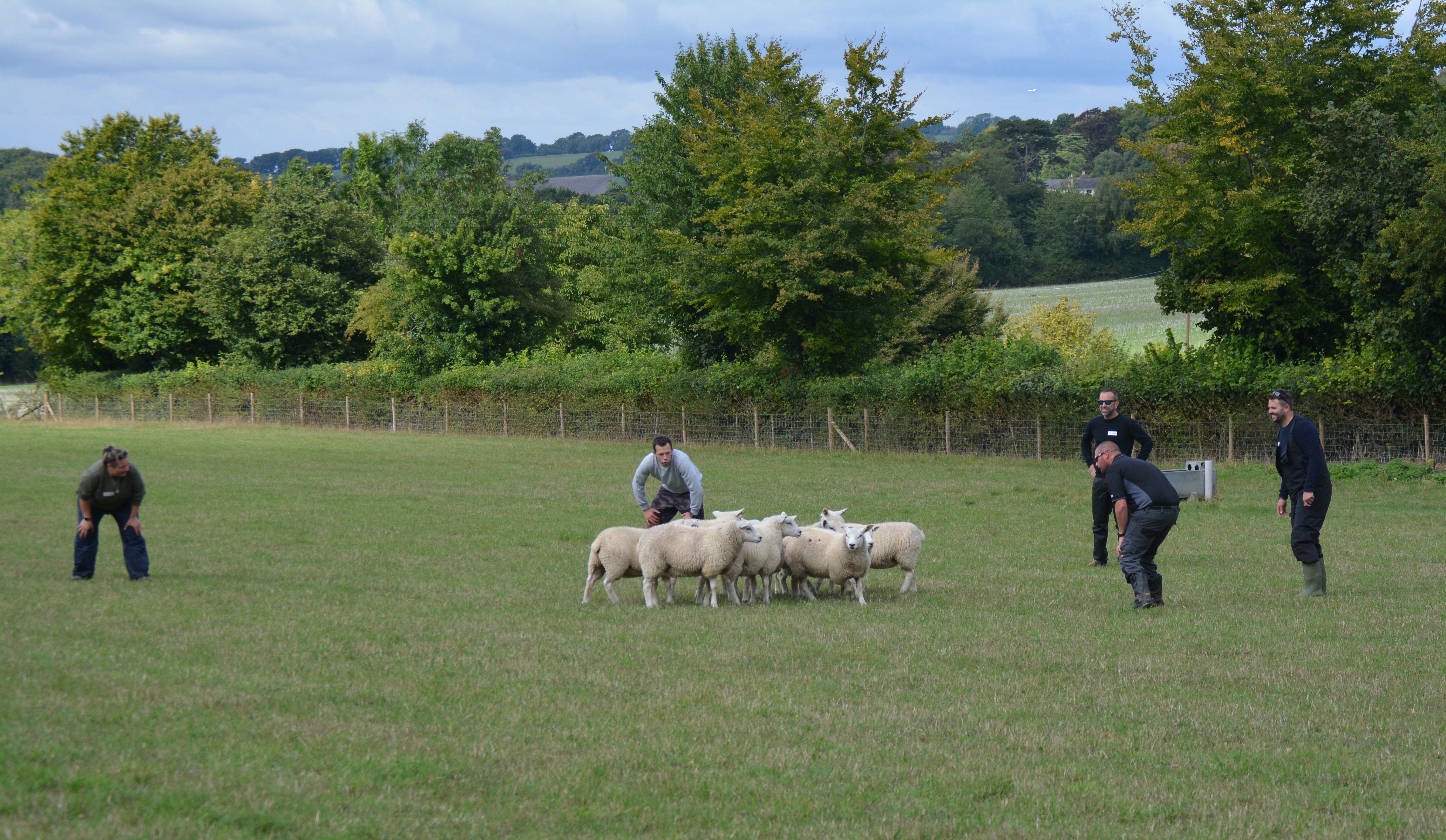 uksa-team-focus-on-flock.jpg