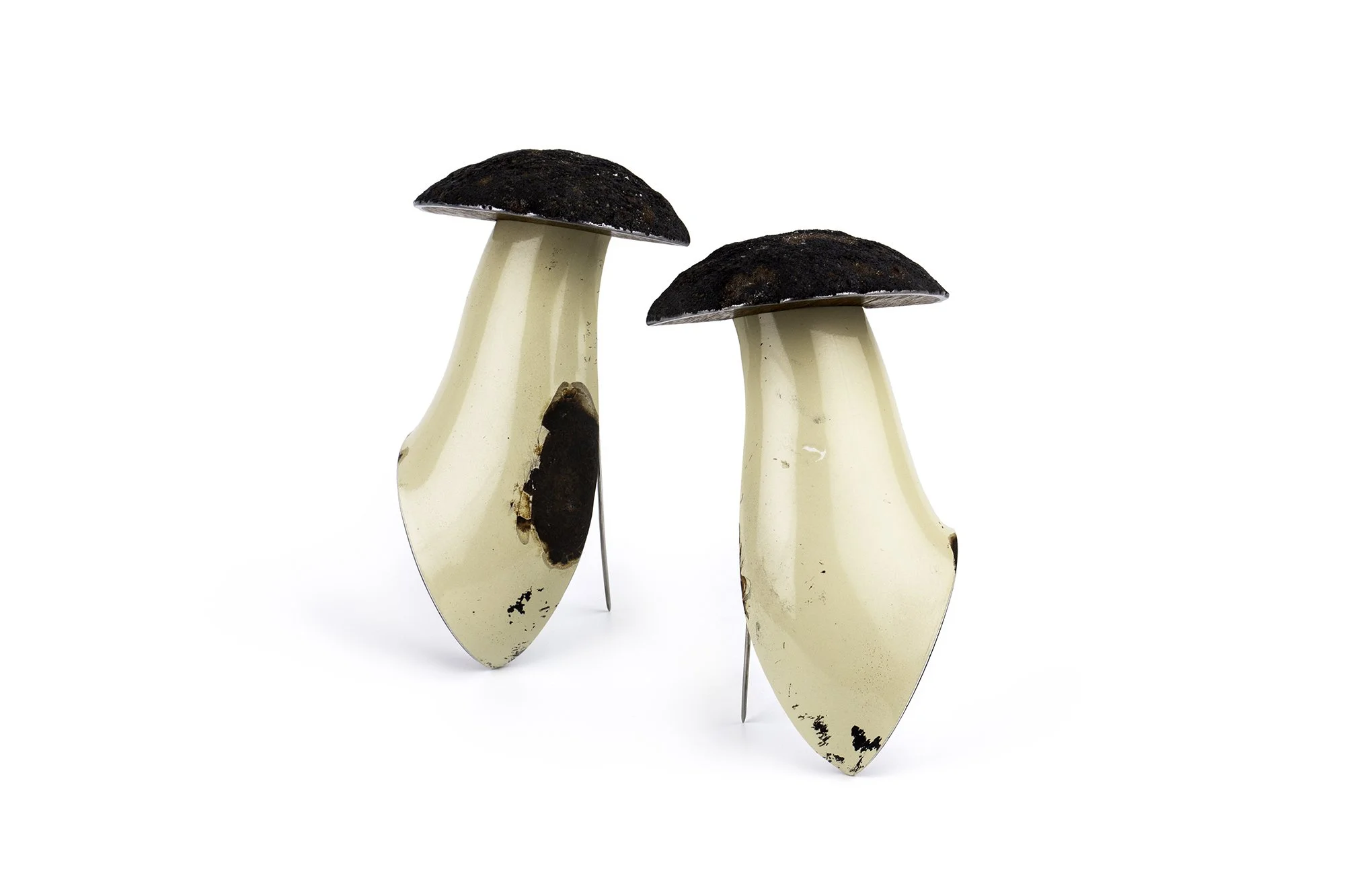 Mycelium of Things