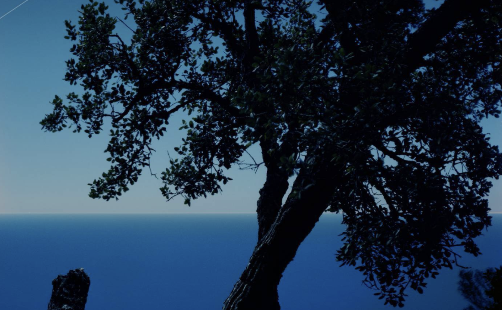 Les Forêts d’Hypnos, Chapter II